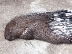 -海南热带野生动植物园