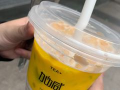 -加减茶饮(高沙店)