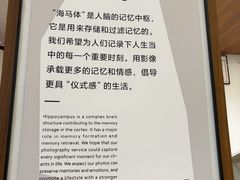-海马体家庭照相馆(广州正佳广场店)