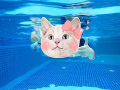 -ABC Swim亲子游泳俱乐部(河西店)