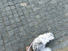-钟山体育运动公园