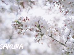 -上海辰山植物园