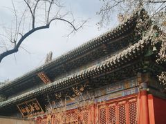 -潭柘寺景区