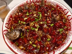 -欧记大排档·景德菜(上海首店)