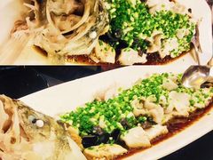 -十八棵（老龙井）御茶园(老龙井店)
