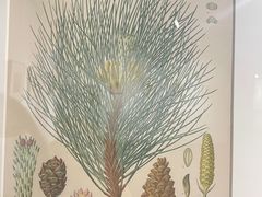 -湖北省美术院美术馆