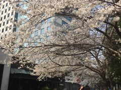 -玛格萝妮比萨屋(四平店)