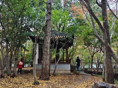 -秋霞圃