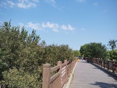 -北京麋鹿生态实验中心