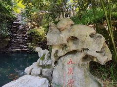 -十八棵（老龙井）御茶园(老龙井店)