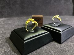 -梵薇Joker.V银饰工作室