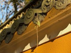 -普陀山风景名胜区-法雨禅寺