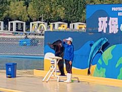 -秦皇岛乐岛海洋王国