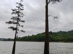 -凤岗南门山森林公园