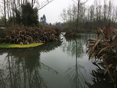 -桤木河湿地公园