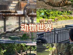 -深圳野生动物园
