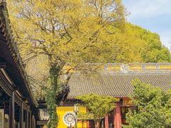 -苏州上方山国家森林公园