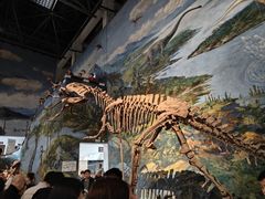 -自贡恐龙博物馆