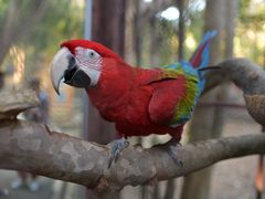 -清迈夜间动物园