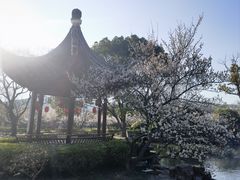 -司徒庙