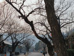 -香山公园
