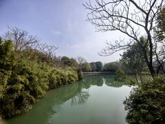 -西溪国家湿地公园