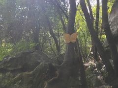 -玉女潭景区