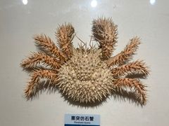 -浙江自然博物院(杭州馆)
