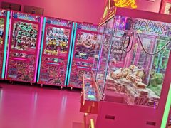 -BIG PINK大粉娃娃机主题馆(圆融星座店)