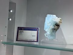 -中国地质大学逸夫博物馆