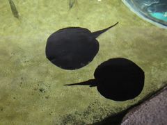 iphone_upload_pic-河川生态园