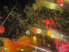 -龙湖星悦荟(颐和店)
