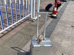 -星巴克(舟山蜈蚣峙店)