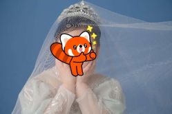 -倾城宝贝儿童摄影(浦东金谊店)