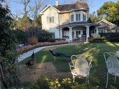 -金庭庄园酒店-停车场