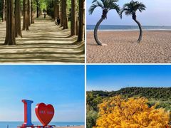 -巧克力渔家.小船海鲜家常菜(万平口店)