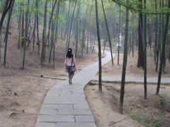 -敬亭山风景名胜区