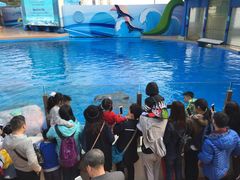 -麦当劳(海洋公园店)