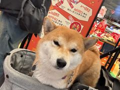 -MARSMART PETS火星宠物超市(1733店)