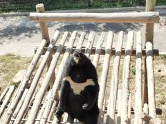 -大连森林动物园