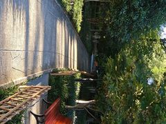 -杭州黄龙洞