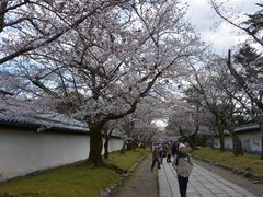 -醍醐寺