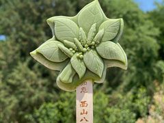 -八大处公园