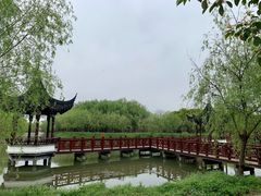 -广富林郊野公园