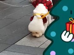 -南京路步行街