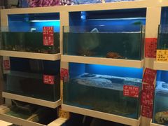 -梦中园海鲜酒店(川沙路店)