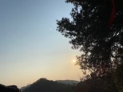 -缙云山景区