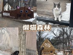 -沂蒙山旅游区云蒙景区(蒙山国家森林公园)