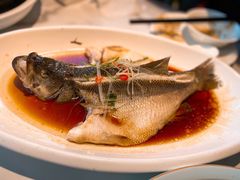 清蒸鲈鱼-花园茶楼(兴城西路店)