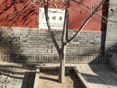 -红螺寺